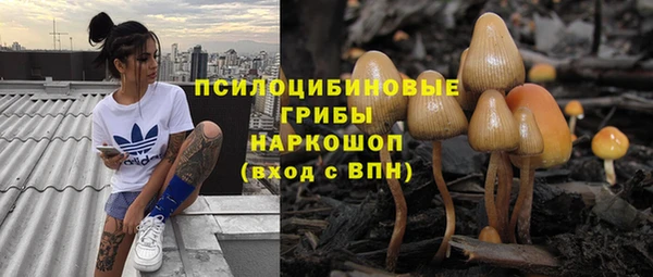 амф Алексеевка