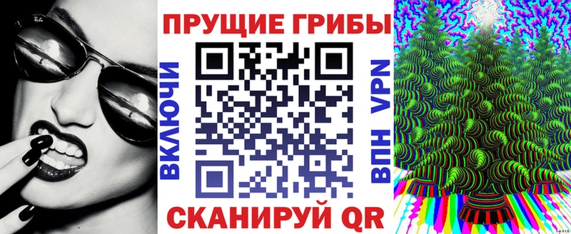 Псилоцибиновые грибы прущие грибы Анжеро-Судженск